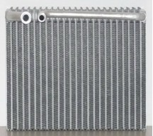 NSF-EC031