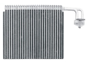 NSF-EB015