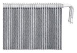 NSF-EB012