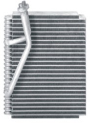 NSF-EA135