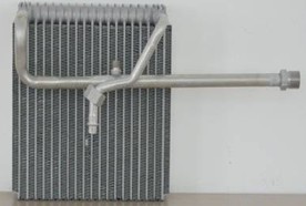 NSF-EA223